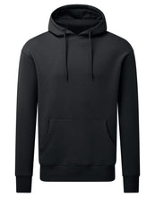 Load image into Gallery viewer, AM006 ANTHEM UNISEX HOODIE
